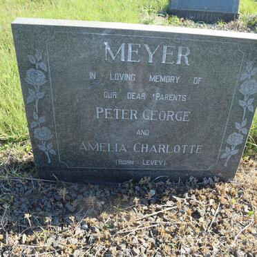 MEYER Peter George &amp; Amelia Charlotte LEVEY
