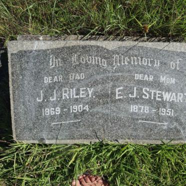 RILEY J.J. 1869-1904 &amp; E.J. STEWARD 1878-1951