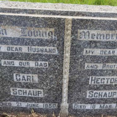SCHAUP Carl -1950 :: SCHAUP Hector -1951