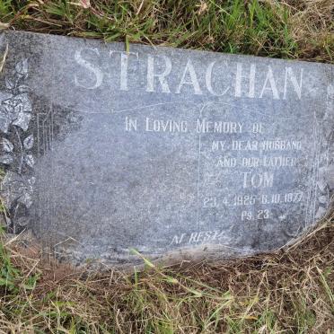 STRACHAN Tom 1925-1977