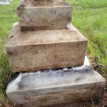 SPIRES Alice nee BARROW -1898