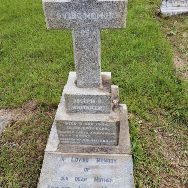 WHITAKER Joseph O.  -1944 :: MANSON Adeline Alice 1865-1951