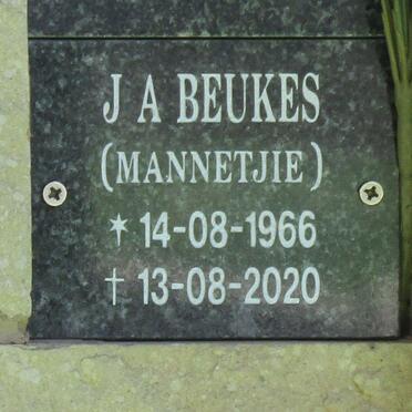 BEUKES J.A. 1966-2020