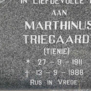 TRIEGAARDT Marthinus 1911-1988