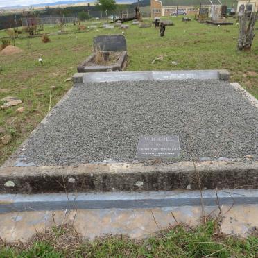 WIGGILL Edward John 1881-1960 &amp; Mary Ann 1882-1961 :: WIGGILL Lionel Ivor Fitzgerald 1911-1996