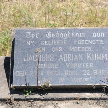 KUMM Jacobus Adrian nee VORSTER 1903-1969