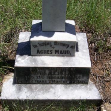 HOLLIS Agnes Maud -1901
