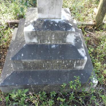 CLARKE Elizabeth -1901