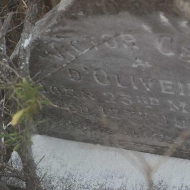 D'OLIVEIRA Victor Cecil 1901-1901