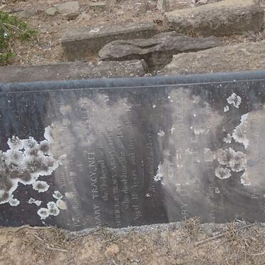 TRACY Mary nee HOUSLEY 1813-1863 :: HOUSLEY Mary Elizabeth nee TIPPLE -1872:: HOUSLEY Charles John 1847-1874