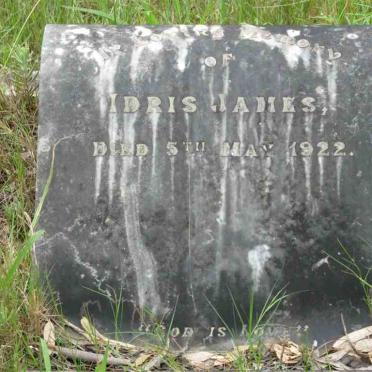 JAMES Idris -1922
