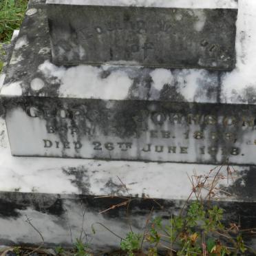 JOHNSON George 1859-1918