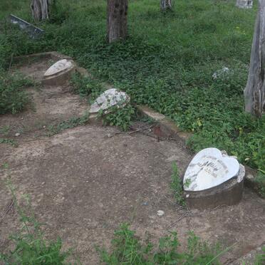 LIESENBERG Mary 1855-1913 :: LIESENBERG -1918