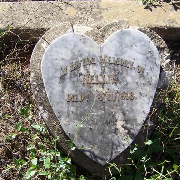LIESENBERG Mary 1855-1913