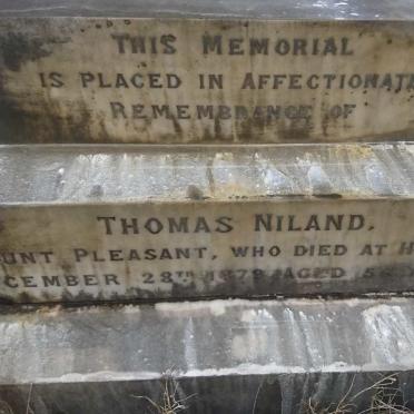 NILAND Thomas -1879