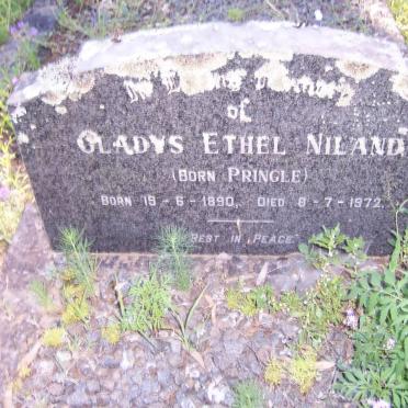 NILAND Gladys Ethel nee PRINGLE 1890-1972