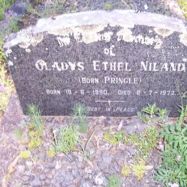 NILAND Gladys Ethel nee PRINGLE 1890-1972