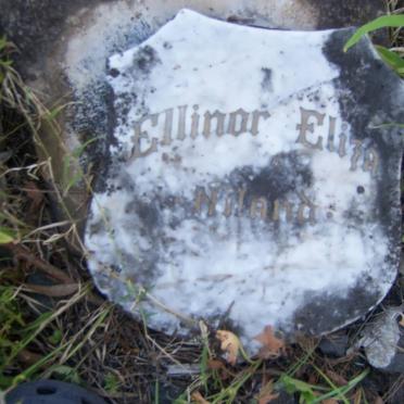 NILAND Ellinor Eliza
