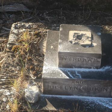 NILAND Wyndham :: NILAND Jocelyn Lukin