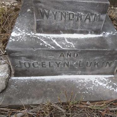 NILAND Wyndham :: NILAND Jocelyn Lukin