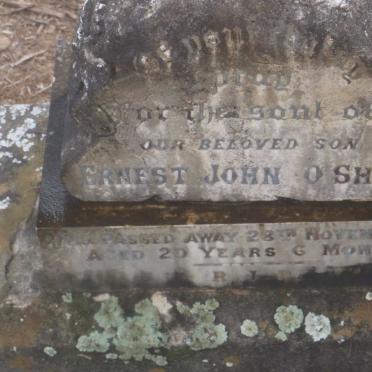 O'SHEA Ernest John -1913