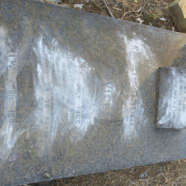 VICE Clyde Douglas 1886-1940 &amp; Ellen Katherine WILSON 1887-1956