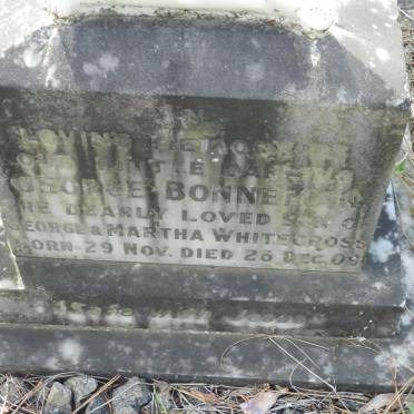 WHITECROSS George Bonneman 1909-1909