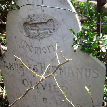 OLIVIER Andries Hermanus 1880-1916