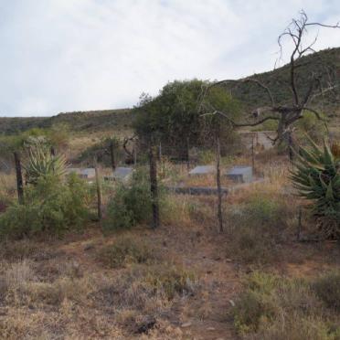 1. Overview on cemetery 