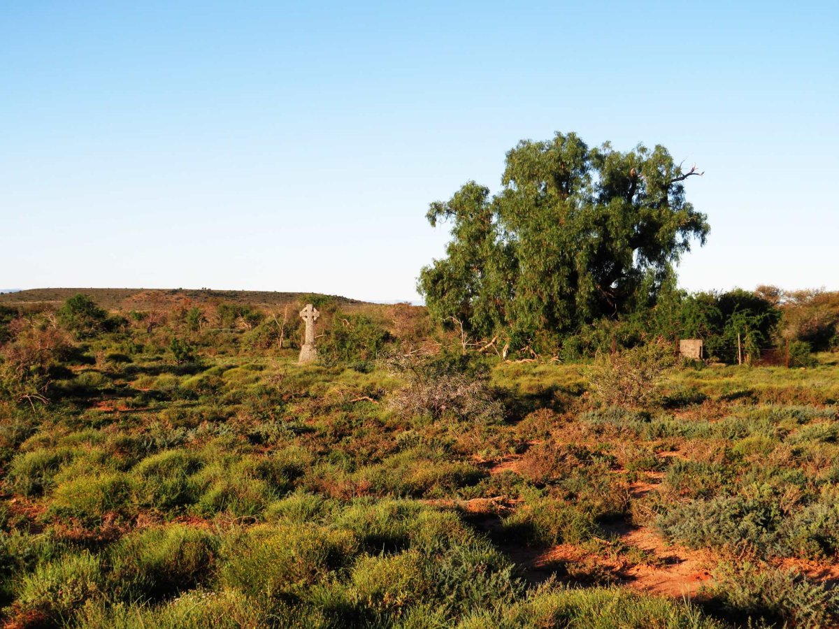 4. Oorsig/Overview