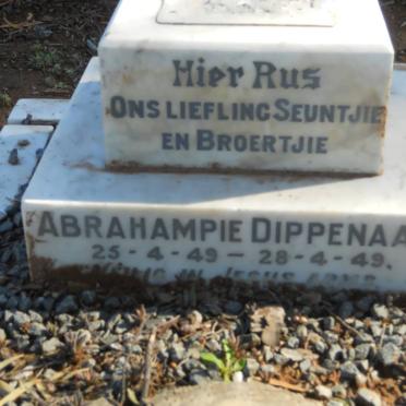 DIPPENAAR Abrahampie 1949-1949