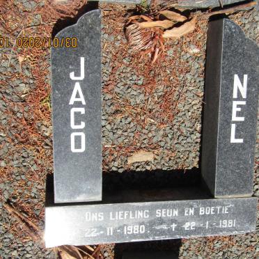 NEL Jaco 1980-1981