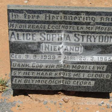 STRYDOM Alice Sophia nee NIEMAND 1939-1965