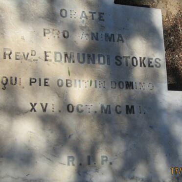 STOKES Edmundi  -1901