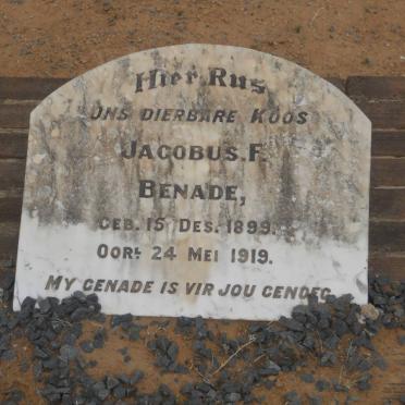 BENADE Jacobus F. 1899-1919