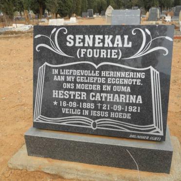 SENEKAL Hester Catharina nee FOURIE 1885-1921