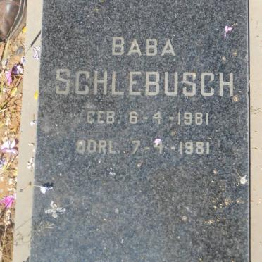 SCHLEBUSCH Baba 1981-1981