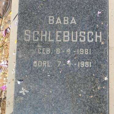 SCHLEBUSCH Baba 1981-1981