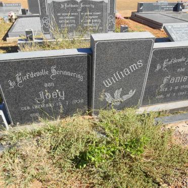 WILLIAMS Fanie 1930-1995 &amp; Joey WEITSZ 1939-