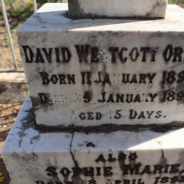 MORRIS David Westcott Orme 1892-1892 :: MORRIS Sophie Marie 1893-1893_2