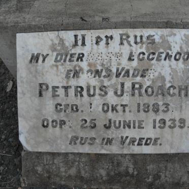 ROACH Petrus J. 1883-1939