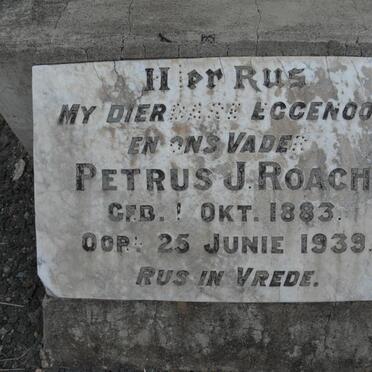 ROACH Petrus J. 1883-1939