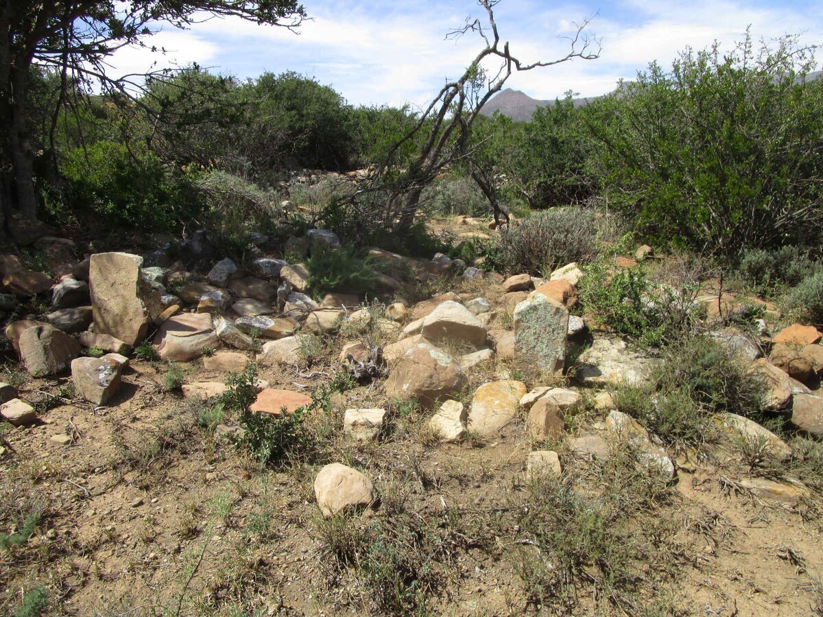 3. Overview / Oorsig