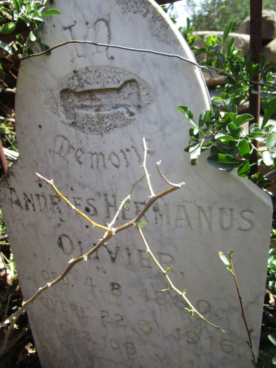 OLIVIER Andries Hermanus 1880-1916