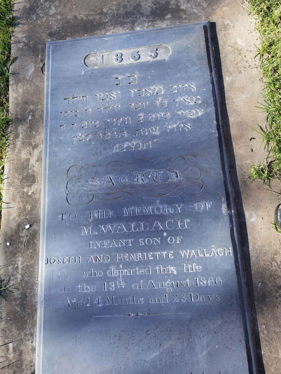 WALLACH M. 1865-1866
