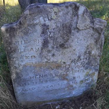 ? William & Henry George