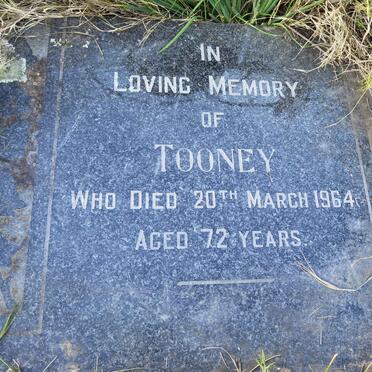? Tooney -1964
