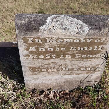 ANTILL Annie