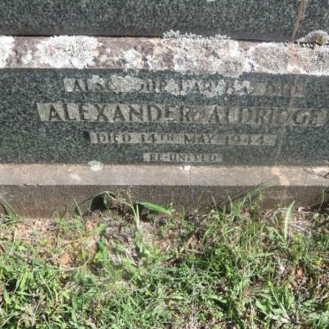 ALDRIDGE Alexander -1944 &amp; Clifford Maude -1943 :: WHITE Dora -1938