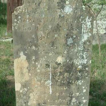 BRADFIELD Louisa née TURVEY -1837